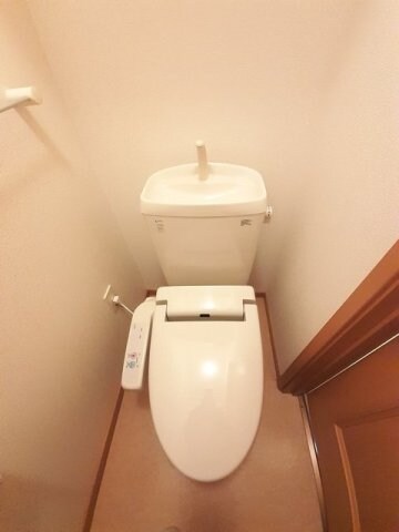  チェリー　ブラッサムズ