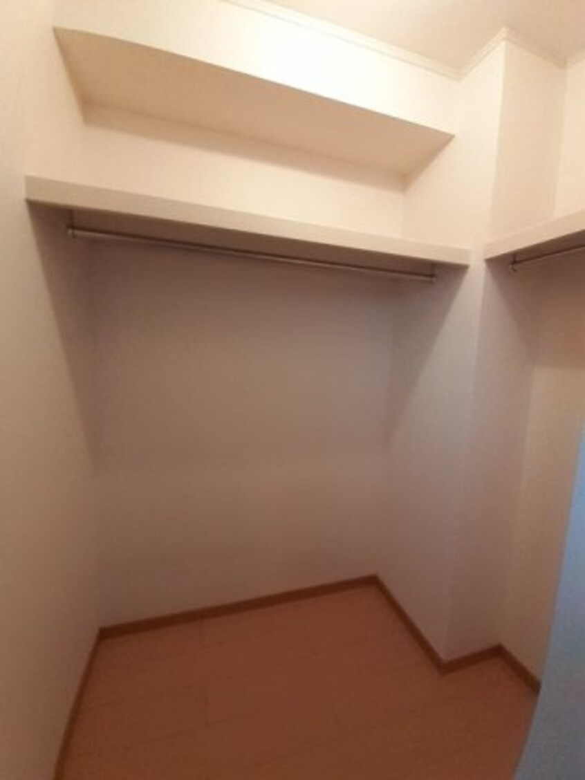  チェリー　ブラッサムズ