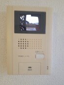  チェリー　ブラッサムズ