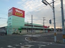 ウォンツ 福山幕山店(ドラッグストア)まで805m クレスト幕山