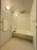  フェザンレーヴ B