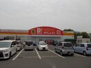 ダイレックス新涯店まで500m ツイン　パールＢ