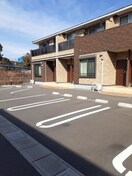  プラシード　Ⅱ