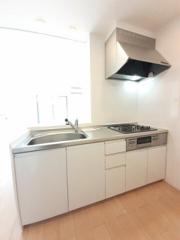  プラシード　Ⅱ