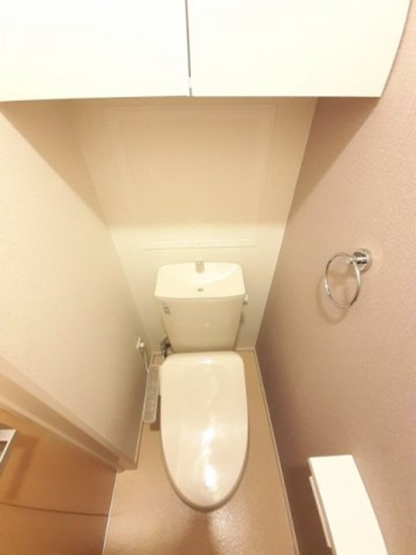  プラシード　Ⅱ