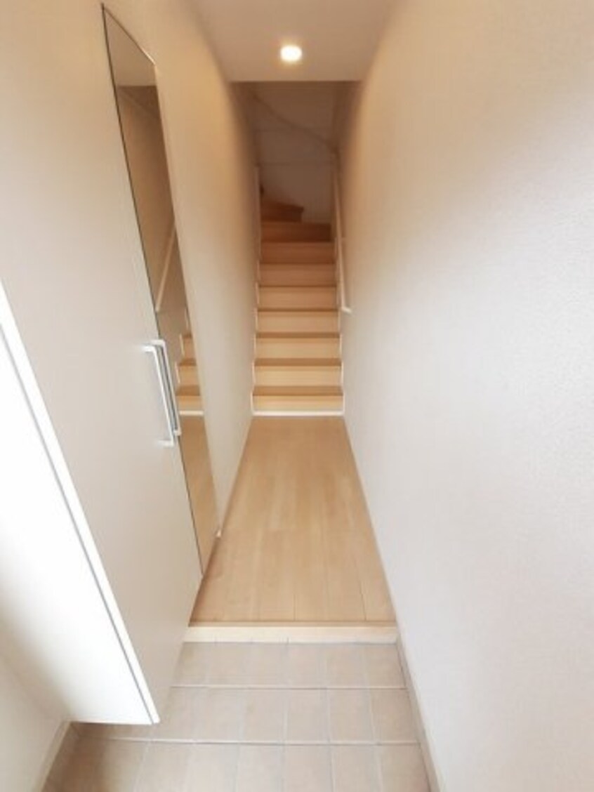  プラシード　Ⅱ