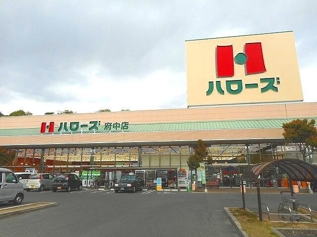 ハローズ府中店まで1200m グリーンハイツもりもとＢ