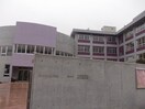 府中市立府中明郷学園(中学校/中等教育学校)まで3863m グリーンハイツもりもとＢ
