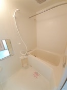  プラムガーデンＣ