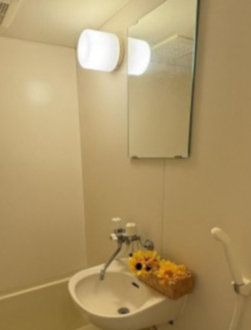 ゆったりとスペースのある洗面所 サンルーチェHARA