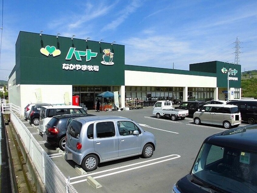 ハート坪生店まで730m カーサ・ラッフィナートⅡ　Ｂ