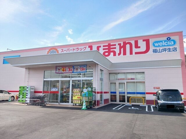 ひまわり福山坪生店まで620m カーサ・ラッフィナートⅡ　Ｂ
