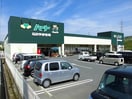 ハート坪生店まで730m カーサ・ラッフィナートⅡ　Ｂ