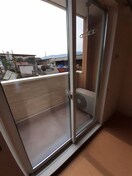  フリーディア
