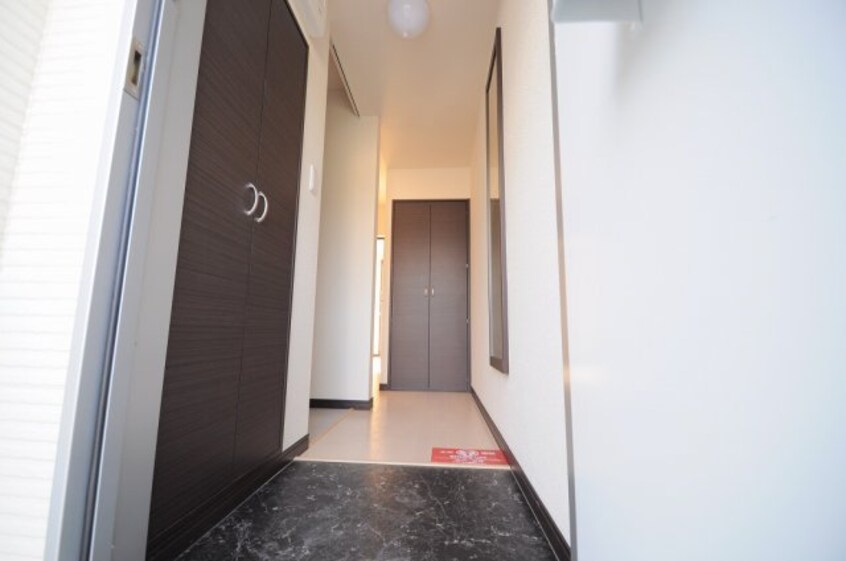  レオネクストラ　ポール