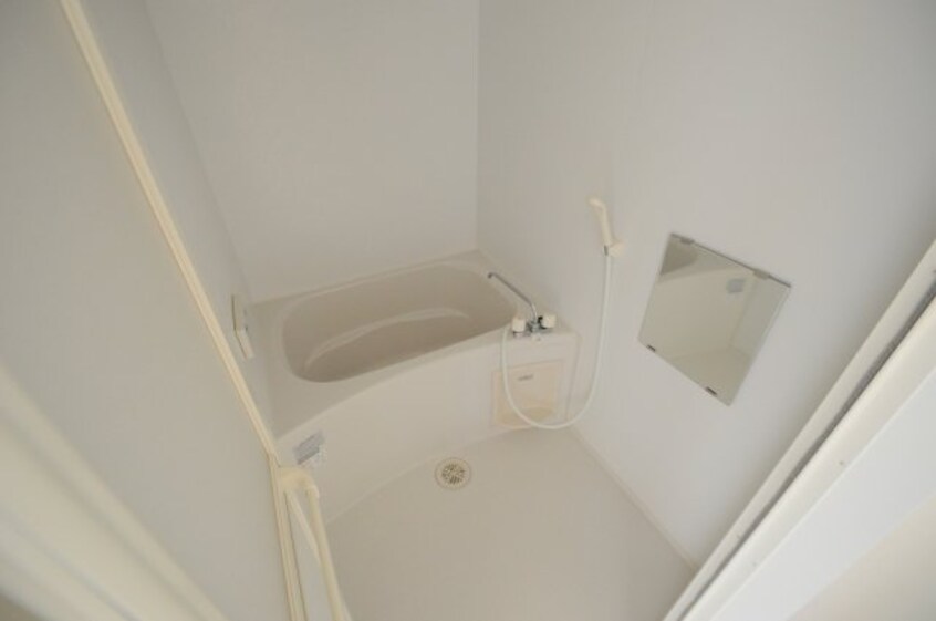  レオネクストラ　ポール