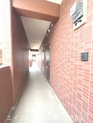 鹿児島市電１系統/南鹿児島駅前駅 徒歩10分 2階 築14年の外観