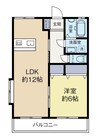 鹿児島市電１系統/二軒茶屋駅 徒歩4分 1階 築15年 1LDKの間取り
