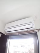  SJS