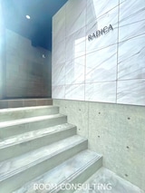 RADICA