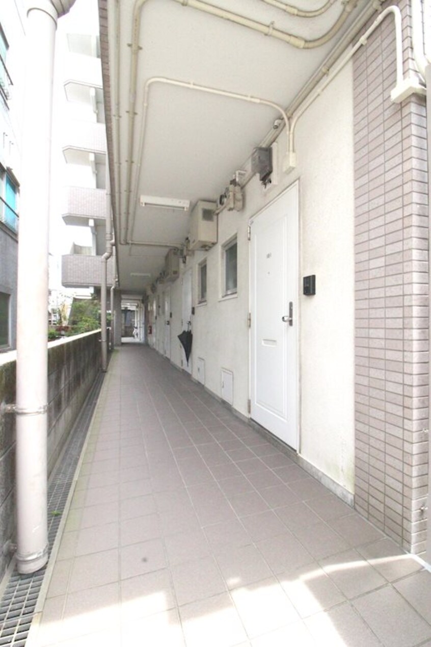  鹿児島市電２系統/中洲通駅 徒歩7分 5階 築29年