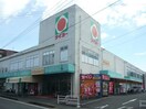  指宿枕崎線/指宿駅 徒歩15分 2階 築3年