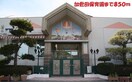  183/加世田高校 1階 築10年