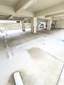  鹿児島市電１系統/二軒茶屋駅 徒歩7分 7階 築36年