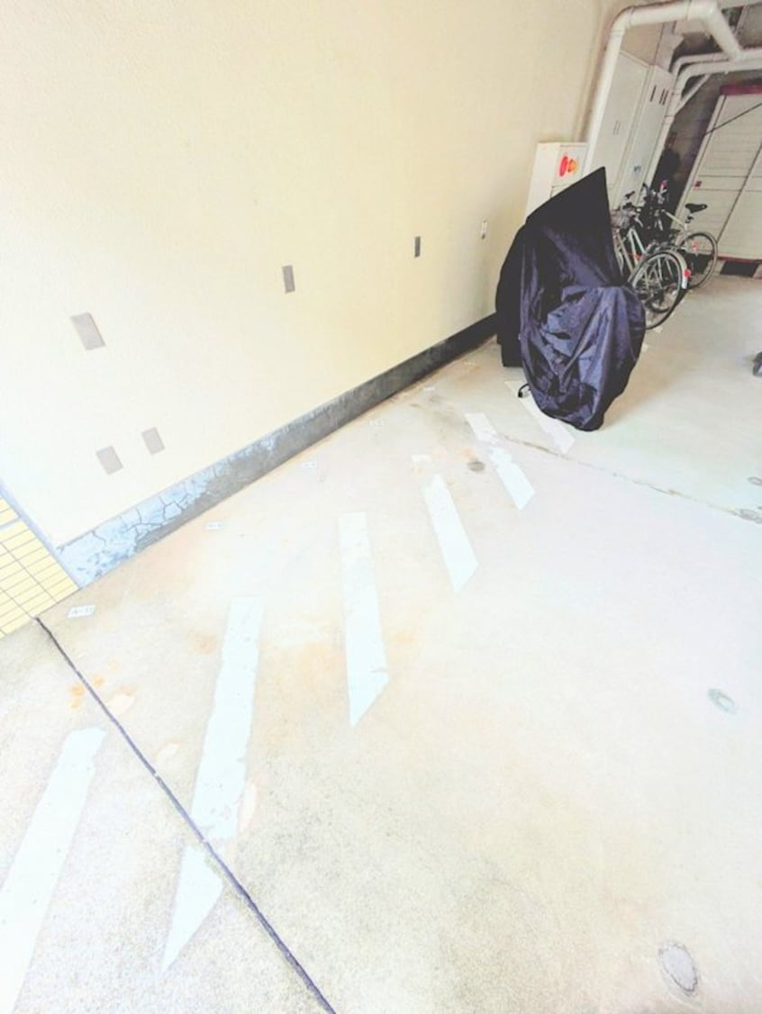  鹿児島市電１系統/二軒茶屋駅 徒歩7分 7階 築36年