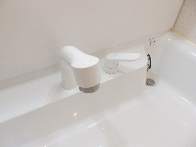 同型参考写真 トルハルバン