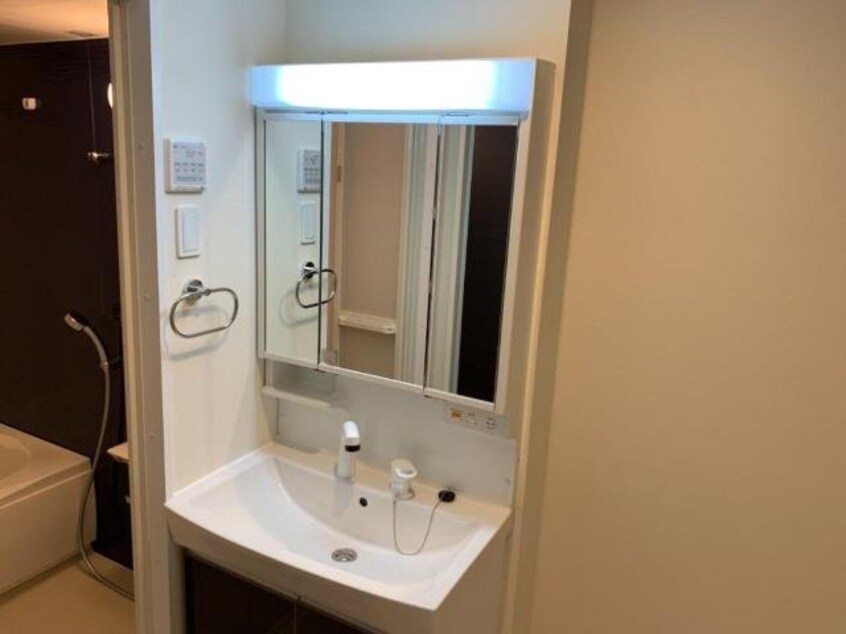 同型タイプ画像 トキワオリーブ