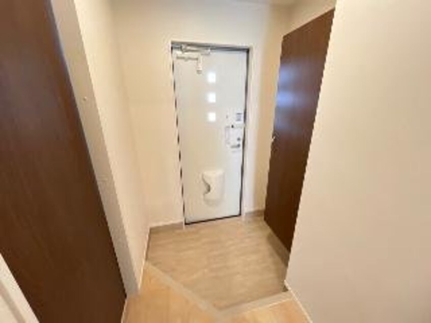 同型タイプ画像 トキワオリーブ