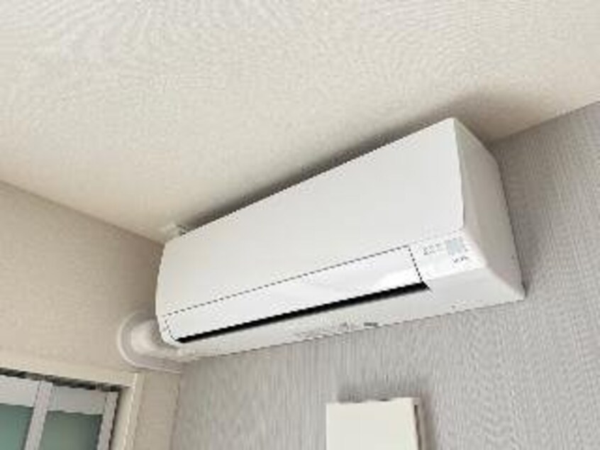 同型タイプ画像 トキワオリーブ