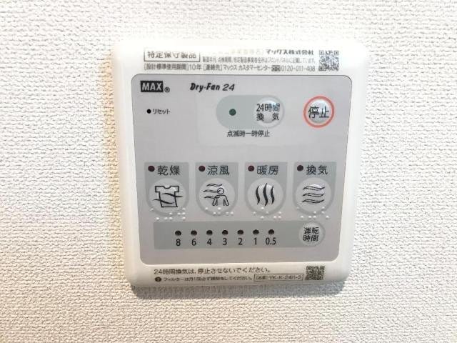 同型タイプ画像 トキワオリーブ