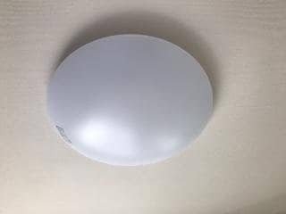 同型タイプ画像 トキワオリーブ