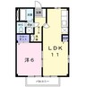 ドリームスクエア 1LDKの間取り