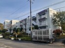 グランドヒルズ桔梗が丘１０号棟の外観