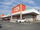 ザ・ビッグエクスプレス夏見橋店(ショッピングセンター/アウトレットモール)まで1084m エルシャトー鴻之台