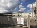 名張市立名張中学校(中学校/中等教育学校)まで743m ファミールＢ