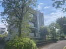 グランドヒルズ桔梗が丘13号棟の外観