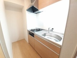 同型タイプの写真です。