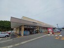 Ａコープ 青山店(スーパー)まで821m フラット立石Ａ