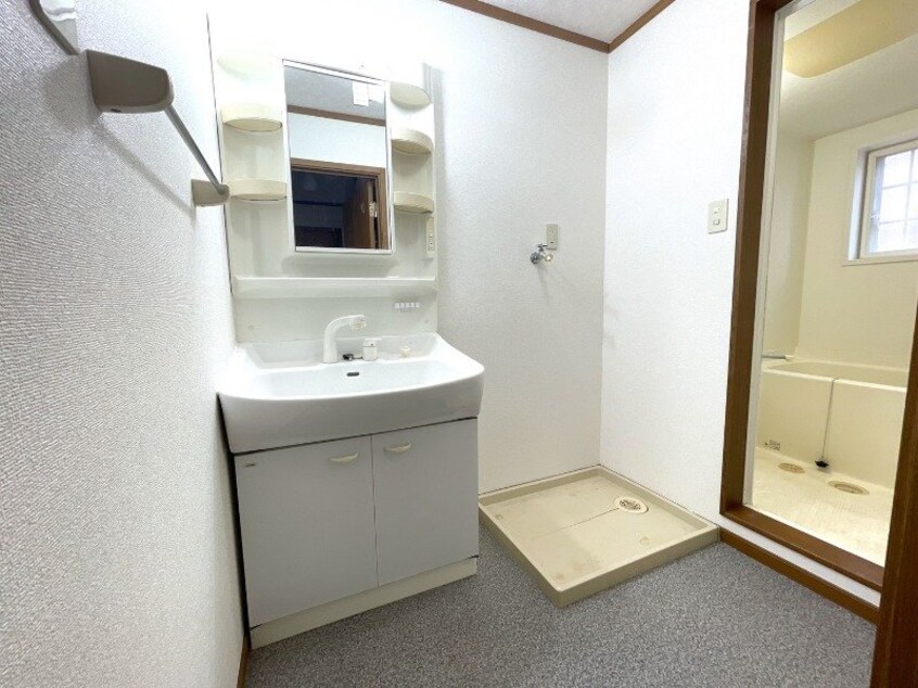 同型反転参考写真 マトリス　Ⅲ