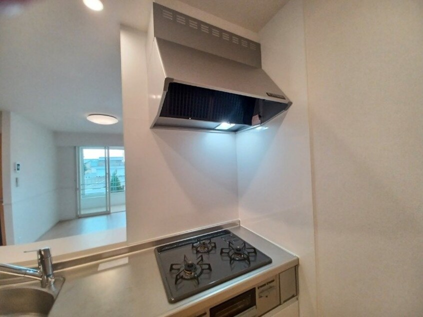 同型参考写真 メゾン　プレゾン　Ａ