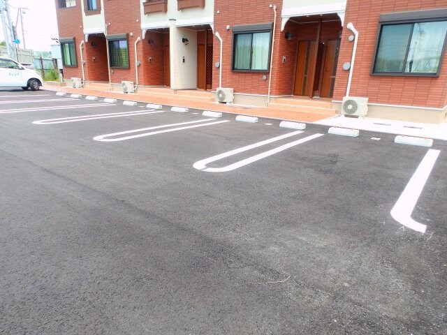  マルベリーナ