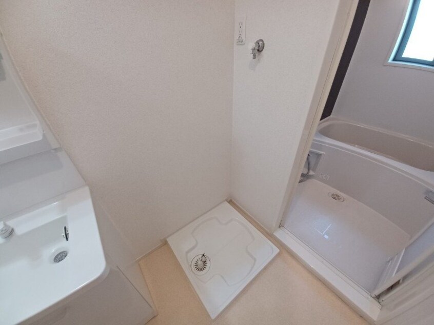 同型反転参考写真 マルベリーナ