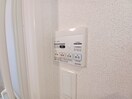 同型反転参考写真 マルベリーナ