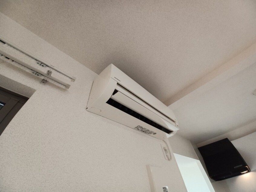 同型反転参考写真 マルベリーナ