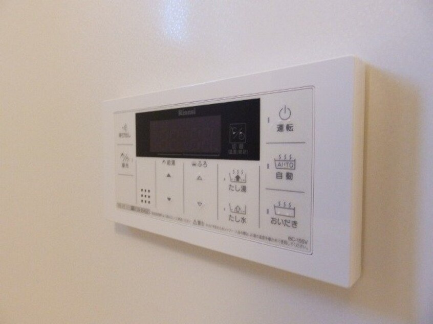 同型反転参考写真 マルベリーナ