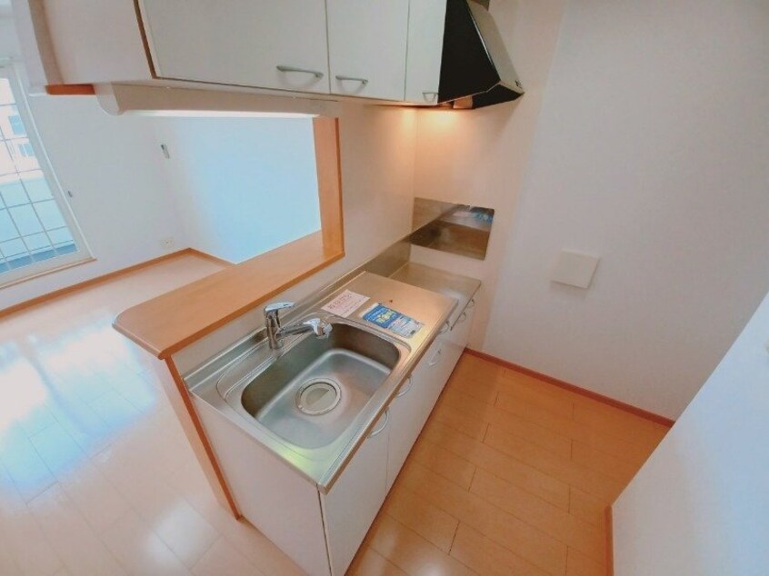 同型タイプ ブラン・アクティブ　Ⅱ